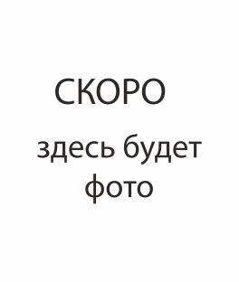 Шангин Александр Сергеевич